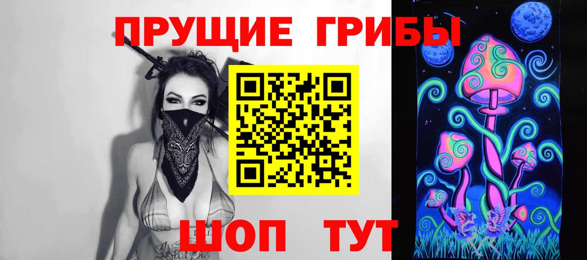 Горно-Алтайск  Галлюциногенные грибы MAGIC MUSHROOMS  Вход с VPN  Галлюциногенные грибы GOLDEN TEACHER 